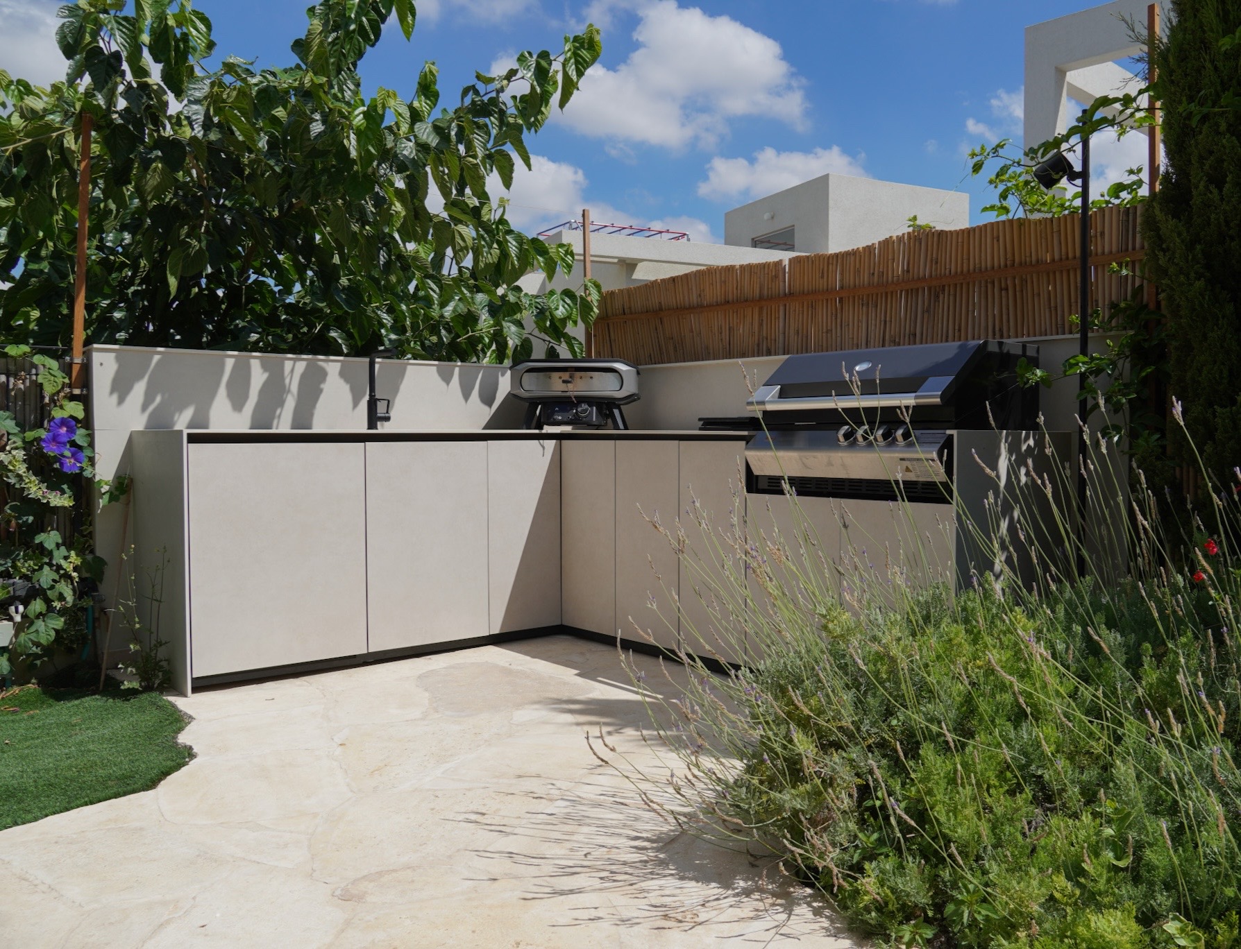 משמר דוד — תמונה 2